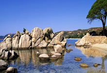 大巴黎对决巴萨，谁能在欧冠赛场笑到最后？